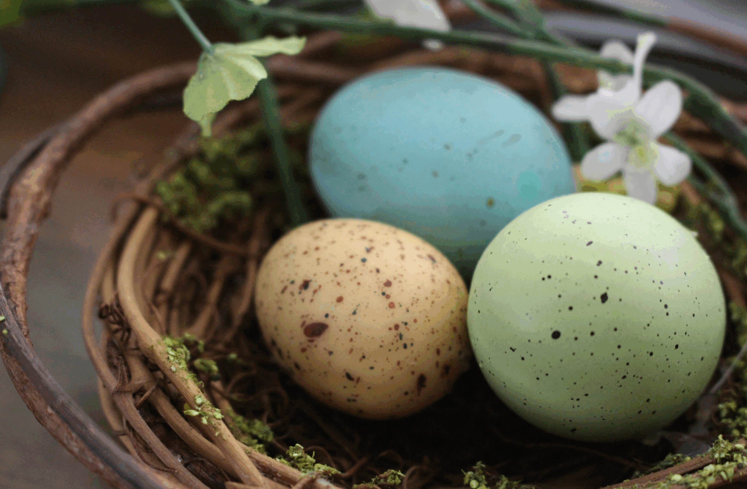 Eier, Lämmer und der böse Hering – Fünf kulinarische Ostertraditionen aus ganz Europa