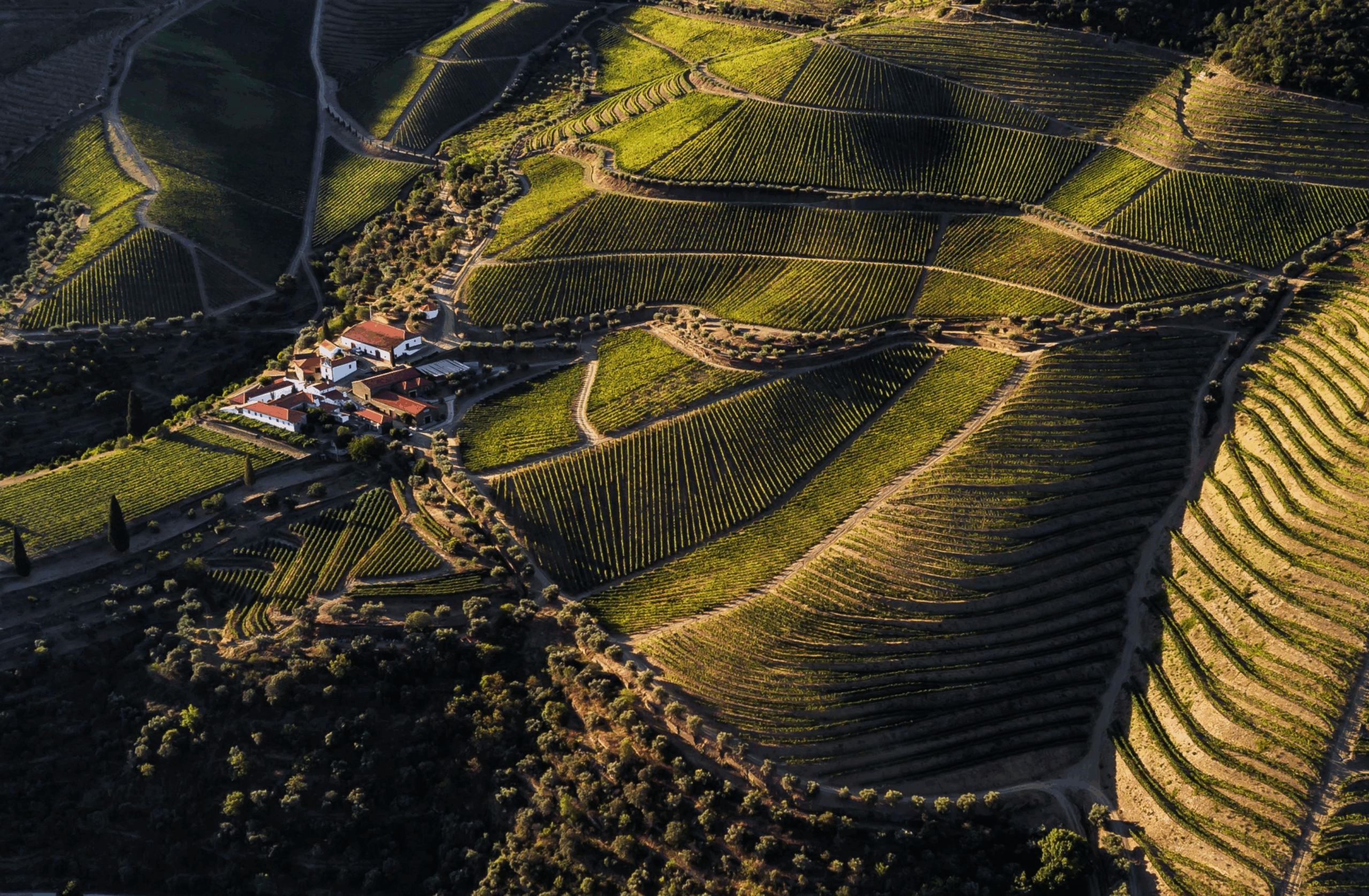 Bordeaux trifft Douro