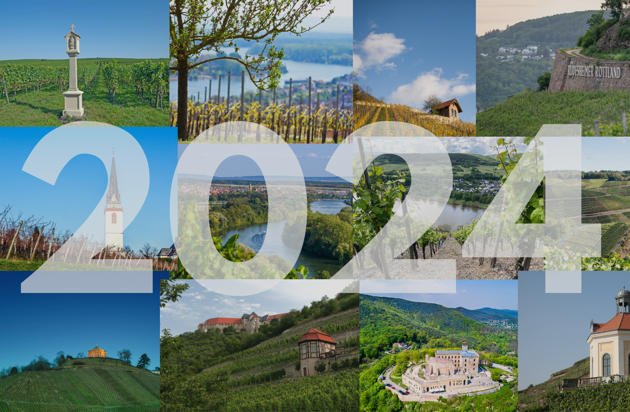 Weinernte 2024: Rückgänge um bis zu 70 Prozent