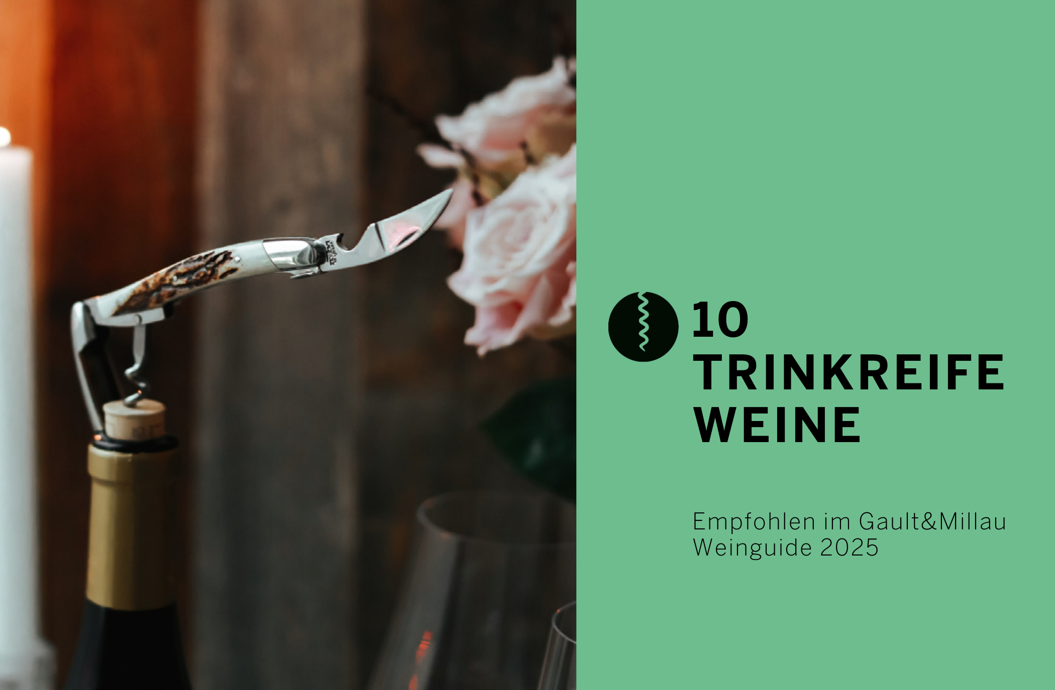 10 trinkreife Weine – empfohlen im Weinguide 2025