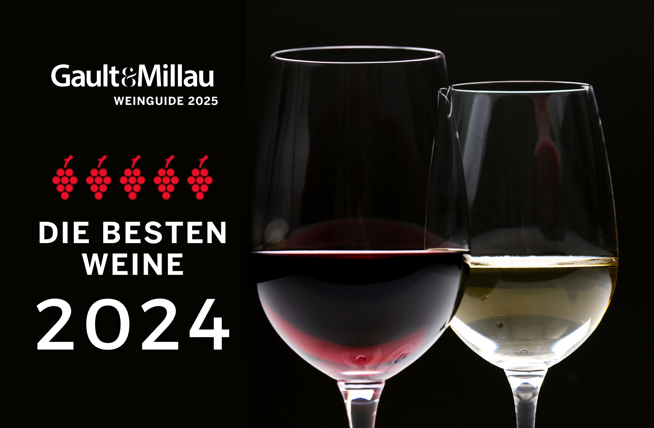 Höchstbewertete Weine 2024: Ein Überblick über die Ausgezeichneten