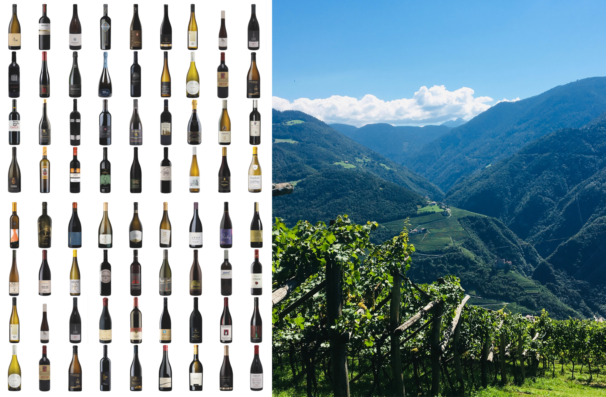 Drink the Mountains!