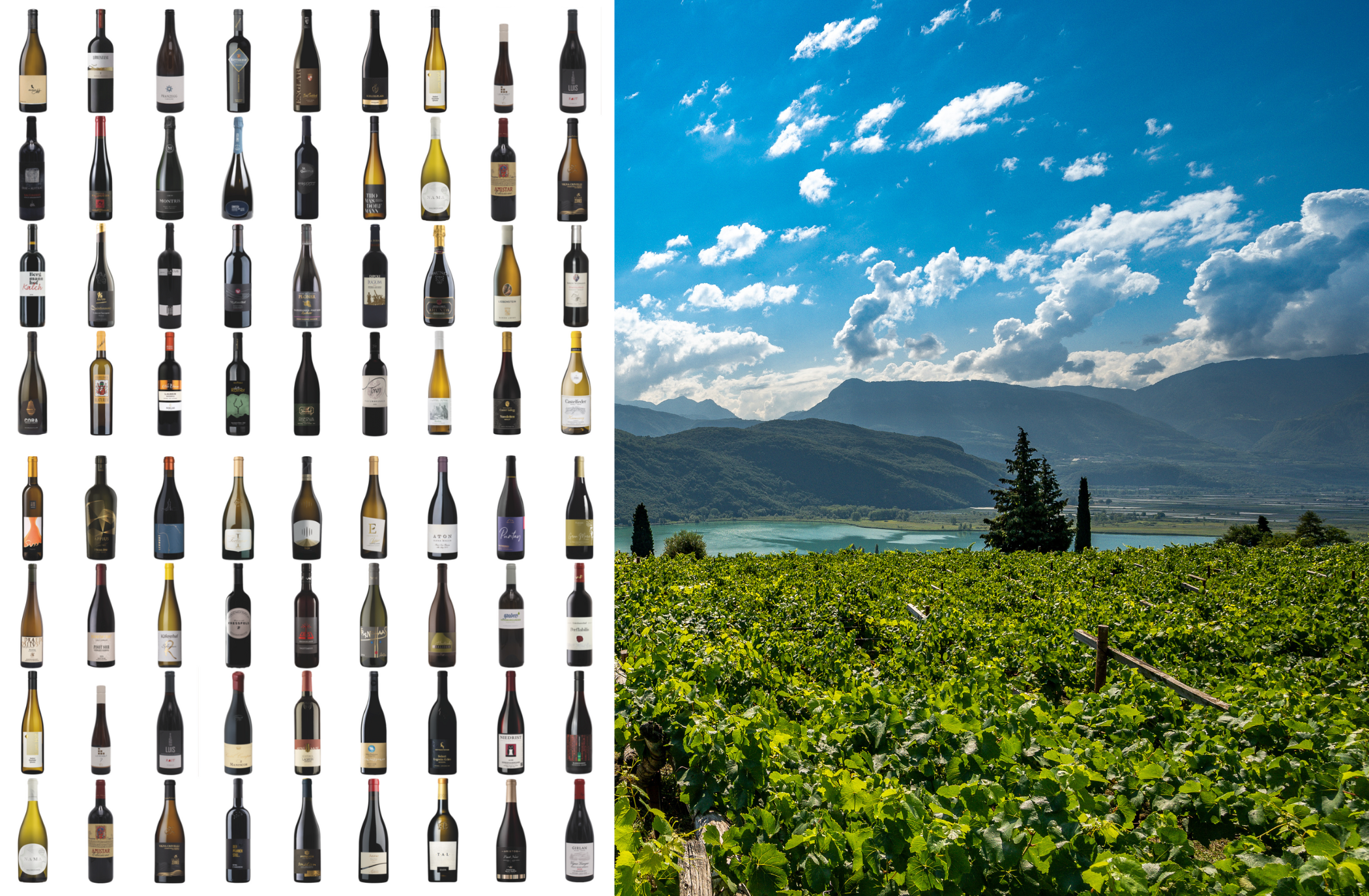 Etappe 4: Drink the Mountains!