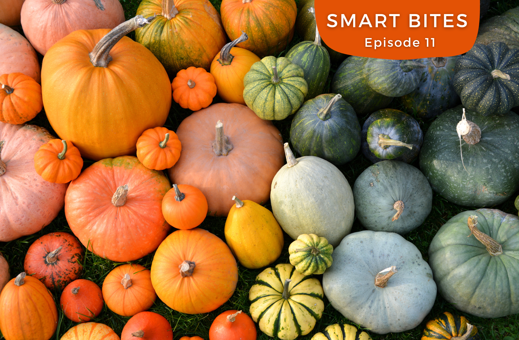 Halloween: keine Angst vor Kürbis