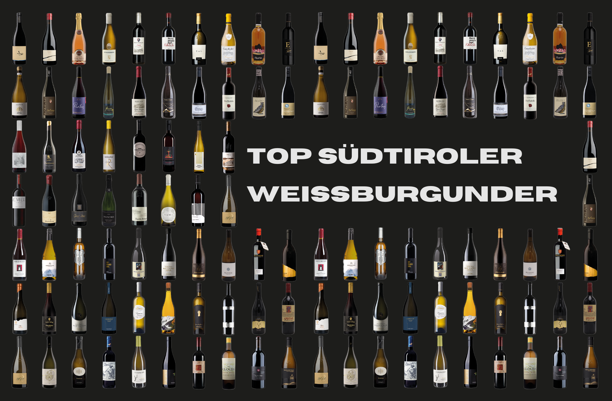 Weißburgunder aus Südtirol – alpine Eleganz in ihrer schönsten Form